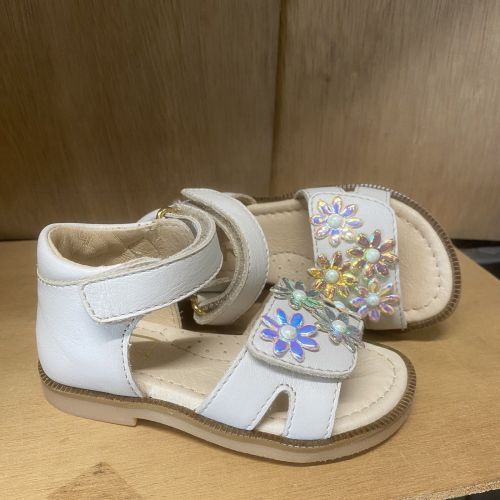 Franco romagnoli  ivoor