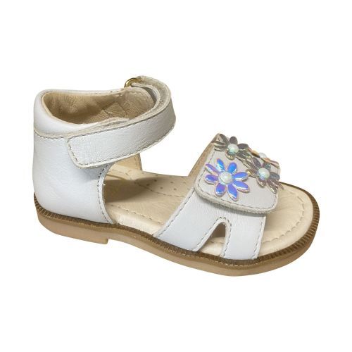 Franco romagnoli  ivoor