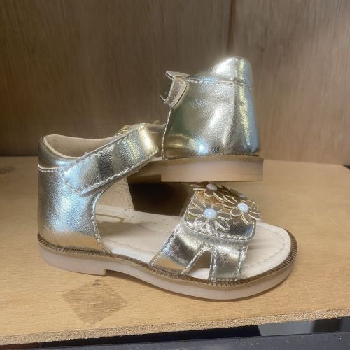 Franco romagnoli  platina