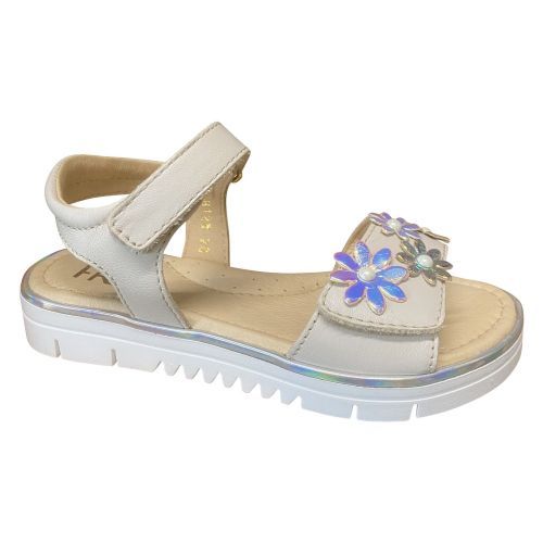 Franco romagnoli  ivoor