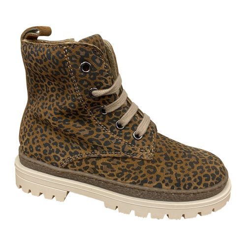 Lunella  leopard