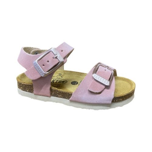 Plakton  rosa-antico