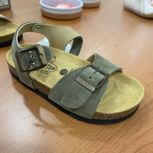 Plakton  kaki