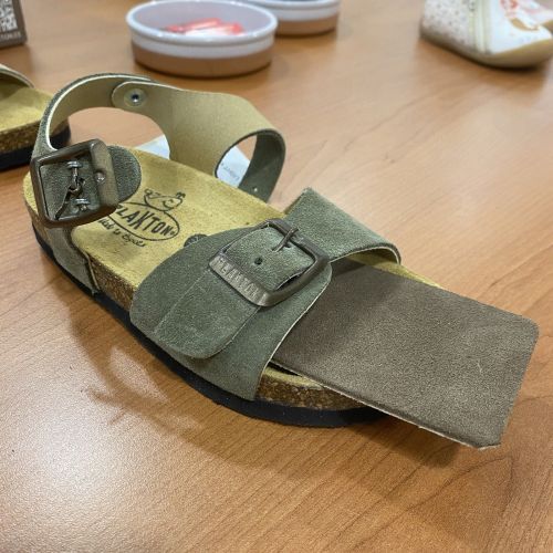 Plakton  taupe