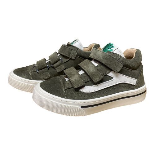 Poldino  kaki jongens (15663 - 6802CV) - Maluma (Maaseik)