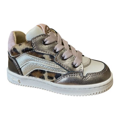 Stones and Bones  multi