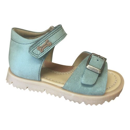 Stones and Bones  moss