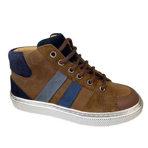 Zecchino d'oro  bruin