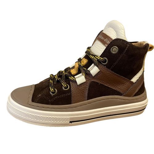 Zecchino d'oro  cognac