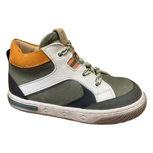 Zecchino d'oro  kaki