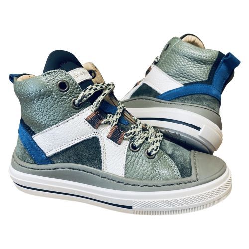 Zecchino d'oro  kaki