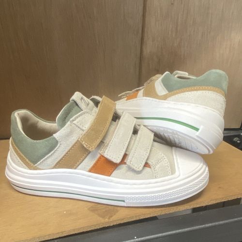 Zecchino d'oro  beige