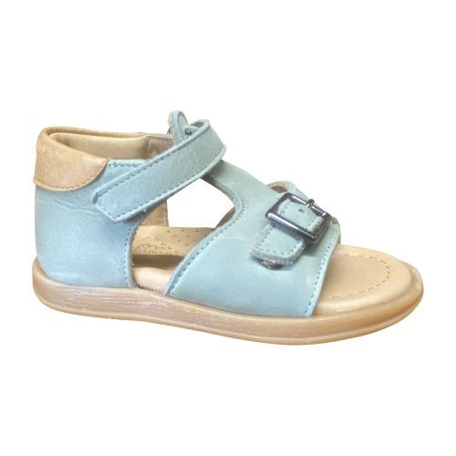 Zecchino d'oro  kaki