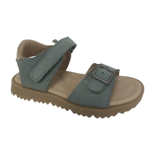 Zecchino d'oro  munt-kaki